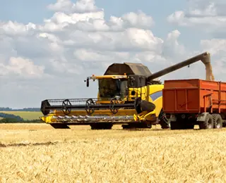 Yellow combine dumping wheat into trailer