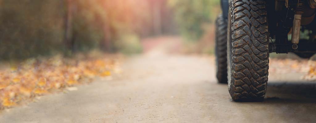 A vehicle drives down a leaf-covered road.