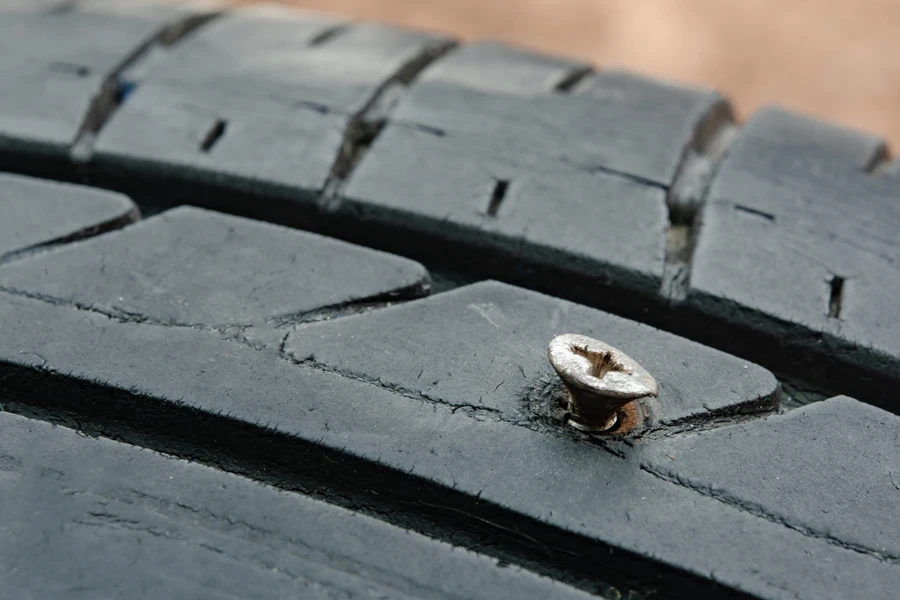 Screw in a tire