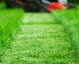 Green lawn with mower in the background