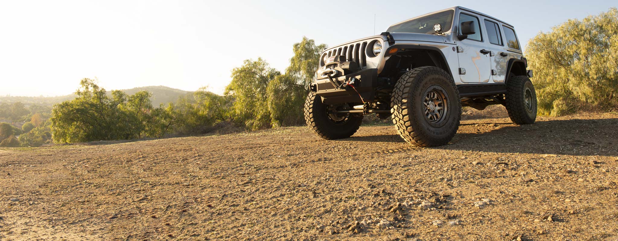 A lineup of wheels with different finishes.