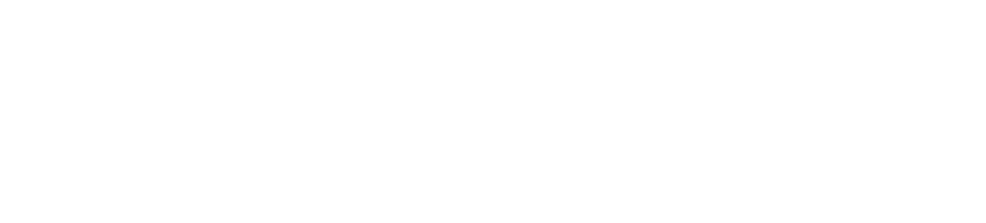 Brands Tires Logo